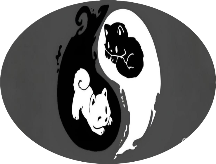Yin Yang de gatos