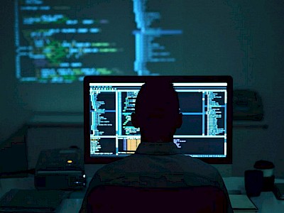 Experiencia en desarrollo web